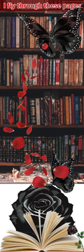 I Fly Through These Pages